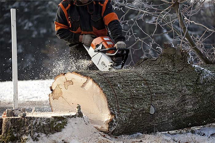 Mann sägt mittels Kettensäge gefällten Baum in Scheiben